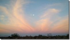 IMG_20141208_064910(1)