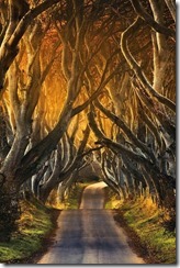 985279490ccc7d118d75065ee7a6e44a