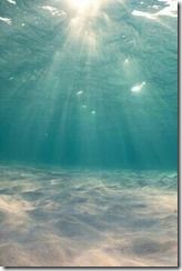 _storage_6536-6138_Wallpapers_Pins_e293a11fe9c20b46e1347b2ba2c1534b