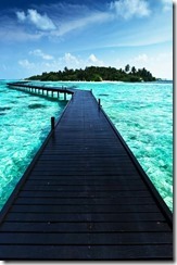 E171B149-FAFD-4101-B96D-F3D84ED409D8