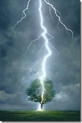 _storage_6536-6138_Wallpapers_Pins_d27d134168f78e4ab717604ef9815a7f